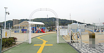 IMG_0019.jpg