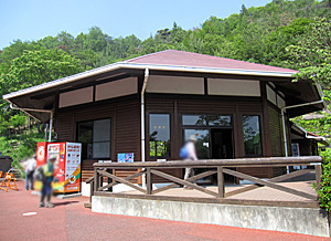 IMG_0852.jpg