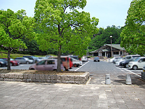 IMG_0999.jpg