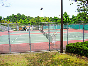 IMG_1010.jpg