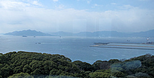IMG_2044.jpg