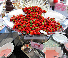 IMG_2070.jpg