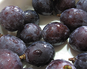 IMG_2460洗い後.jpg