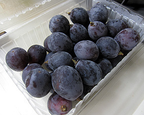 IMG_2468洗う前.jpg