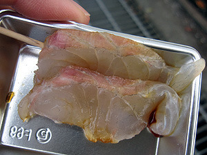 IMG_5822.jpg
