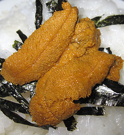 IMG_6830.jpg