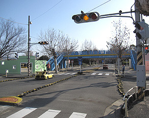 IMG_8229.jpg